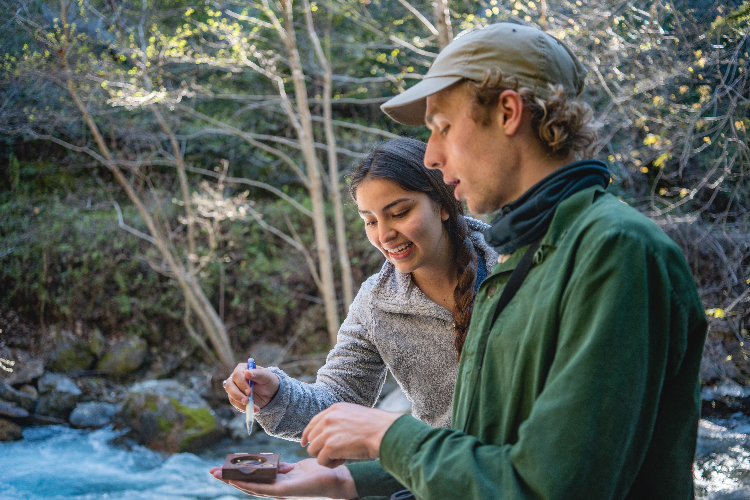 Students conducting stream survey