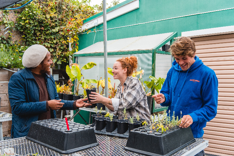 Horticulture Class